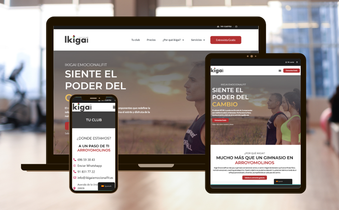 Portfolio RRCData Ikigai Emocional fit